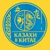 immagine profilo del group telegram di 🇰🇿 Казахи в Китае 🇨🇳