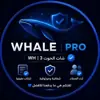 immagine profilo del group telegram di شات الحوت 3 | WH