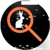 Profilbild: Qlobal-Change
