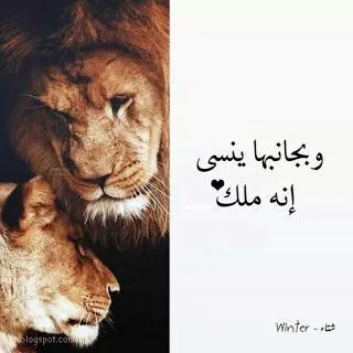 غرٍآميآت🇮🇶 - قناة Telegram