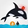Profile picture: Whale Alert