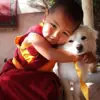 immagine profilo del channel telegram di meditando