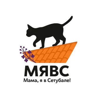 Мама, я в Сетýбале! 🐈‍⬛ - Canale Telegram