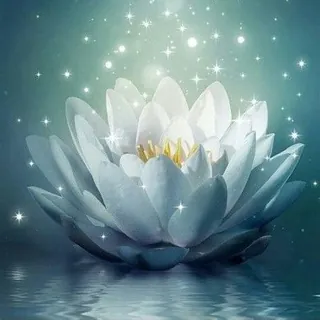 ✨ Seja Luz ✨🦋 - Canal Telegram