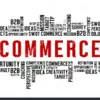 Profile picture: Commerce & Accountancy UPSC