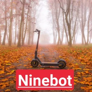 🛴 🇮🇹 Ninebot kick scooter italia - Gruppo Telegram