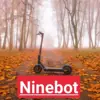 immagine profilo del group telegram di 🛴 🇮🇹 Ninebot kick scooter italia