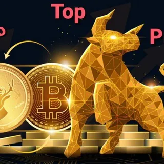 CRYPTO CURRENCY trade analysis Free VIP BTC Coin Europe German France Chinese Korean Japan bangeladesh Binance kucoin si - Gruppo Telegram