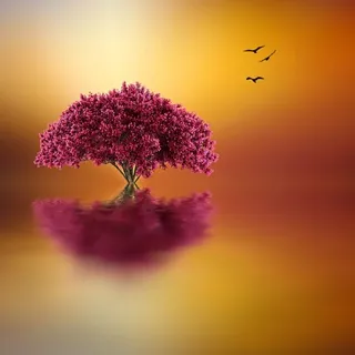💗سوالف دافيه 💗 - قناة Telegram