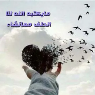 ام محمد - بوت Telegram