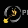 immagine profilo del channel telegram di Phoenix Group