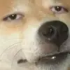 Profile picture: i don't know how to be funny anymore