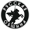 immagine profilo del channel telegram di Русская Община ZOV