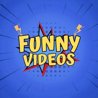 Funny Videos - Channel Telegram