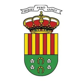 Ayuntamiento de San Vicente del Raspeig - Canal Telegram