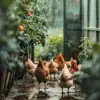 immagine profilo del channel telegram di Продукты из деревни в Тбилиси