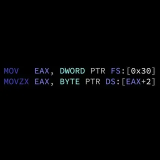 Assembly & Reverse Engineering [ITA] - Gruppo Telegram