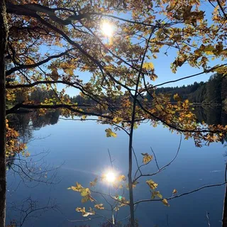 federLeICHT🪶🌎🕊️ - Kanal Telegram