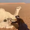 صورة الملف الشخصي: حور