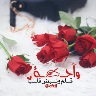 ❀ ⇣ْ⇣ْ قلـــ✍ــبي•وقـــلمي ْ⇣ْ⇣ْ❀❤️ - قناة Telegram