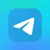Profile picture: World Telegram TOP Network