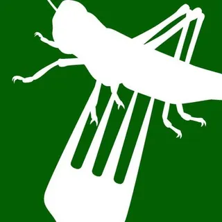 Insekten in Lebensmitteln - Canale Telegram