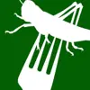 immagine profilo del channel telegram di Insekten in Lebensmitteln