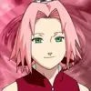 Profile picture: Sᴀᴋᴜʀᴀ