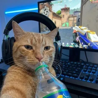 Крупье 🤵🏻 - Бот Telegram