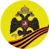 Фото профиля: Военная История - РВИО